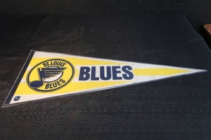 lot 19 image: ST.LOUIS BLUES BANNER IN PROTECTIVE SLEEVE