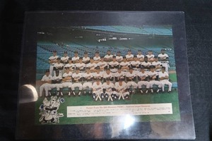 lot 54 image: 1965 MN TWINS POSTER