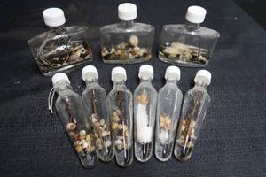 lot 131 image: VARIETY OF GLASS BOTTLES WITH FLORALOIL