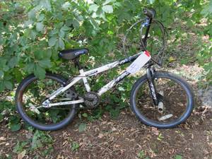Kids Kent ambush bicycle with stunt...