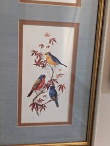 lot 41 image: Three Pretty Bird Prints
