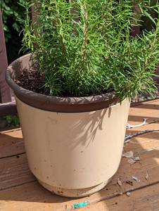 lot 47 image: Assorted Planters