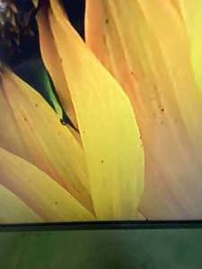 UN65TU7000FXZA Samsung - 65 Class 7 Series LED 4K UHD Smart Tizen TV (TECHNICIAN TESTED LIKE-NEW, SCRATCH)