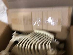 lot 10 image: Rare Set Home Accents Halloween 52 LED Skeleton Pony Cloak Maskin Only One On  Open Box Customer Returns See Terms on Auction
