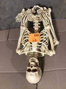 lot 21 image: Skeleton  Open Box Customer Returns See Terms on Auction