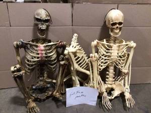 lot 26 image: Lot of Assorted Skeletons   Open Box Customer Returns See Terms on Auction