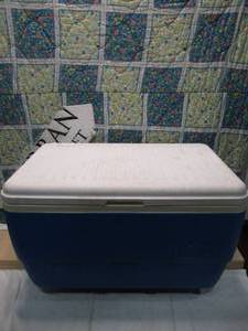 Igloo cooler with handles