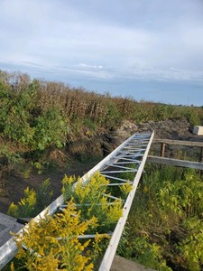 lot 18 image: 2  -  44 Metal Flat Roof Trusses