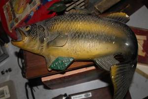 lot 14 image: Grain Belt Fish Mount Wall Dcor
