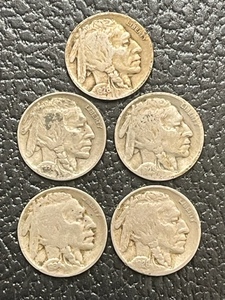 Buffalo Nickels