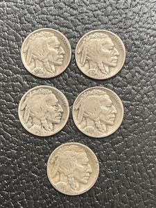 Buffalo Nickels