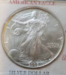 2005 AMERICAN SILVER EAGLE 1 TROY OZ .999 FINE SILVER DOLLAR