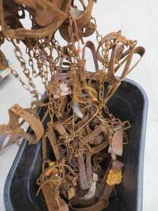 VINTAGE VICTOT TRAPS