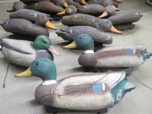 DECOYS