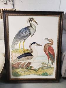 Framed Bird Print (1)