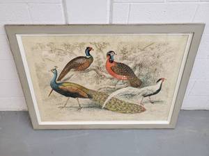Framed Art