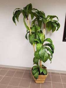 Faux Indoor Plant