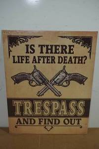 Novelty Metal Sign Life After Death Trespass and Find Out