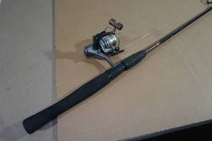 Shakespeare Ugly Stick Fishing Rod with Daiwa Regal Spinning Reel