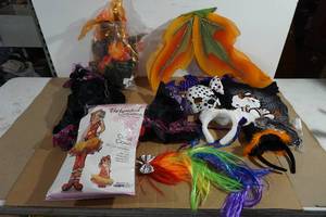 Assorted Little Girls Halloween Costumes and Accessories - Wings, Mask