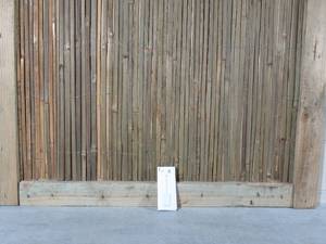 lot 8 image: Apple USB-C to SD Card Reader - 2.6in