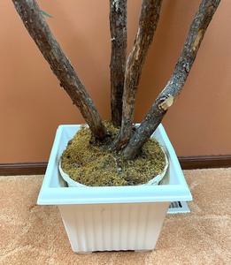 Fabulous Faux Tree