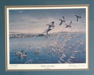 Limited Edition Mallards Assembling Framed Print by Les Kouba