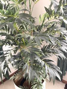 Fabulous Faux Tree