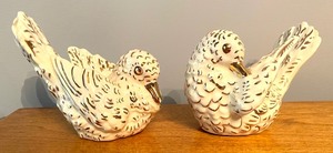 Beautiful Bird Decor Grouping