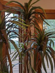 Large Faux Potted Plant