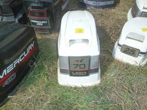 lot 102 image: Johnson 70 VRO Hood
