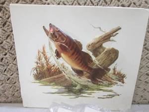lot 105 image: (FS) 17 Embosed Plastic Fish Pictur...