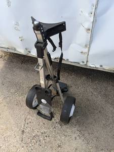 lot 47 image: Parfect Birdie Golf Cart...