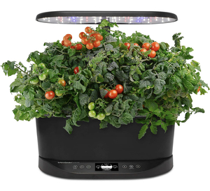 lot 64 image: AeroGarden Bounty Basic - Indoor Garden with LED Grow Light and Gourmet Herb Seed Pod Kit