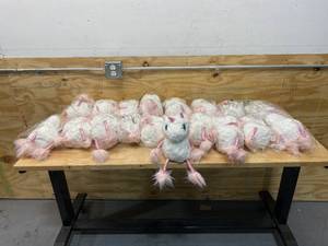 lot 71 image: SPRITE BEAT Lot of 18- Unicorn Plush Toys