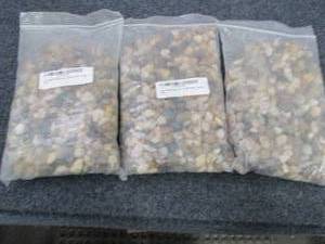 3- 2 lb Bags Decorative Multicolor ...