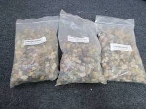 3- 2 lb Bags Decorative Multicolor ...