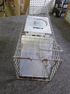 live trap ...