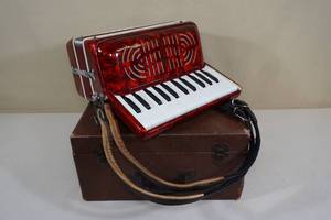 lot 3 image: Vintage Duma Accordian with Hard Shell Case