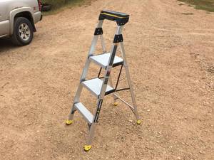 lot 8 image: Aluminum Gorilla Ladder GLA-4XT-3