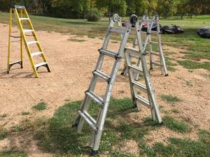 lot 55 image: Cosco Worlds Greatest Multi-use Ladder