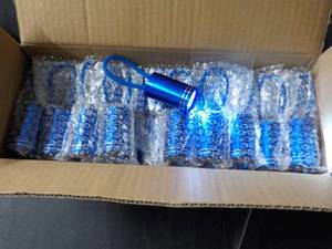 lot 254 image: Case of 50 Blue 4 LED Flashlights...