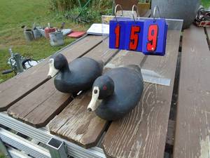 lot 159 image: Qty of 2 coot decoys. As shown.