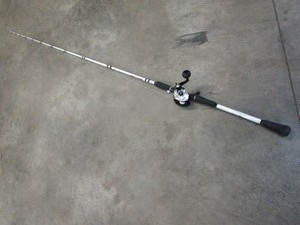 Muskie rod  reel, Abu Garcia Verit...