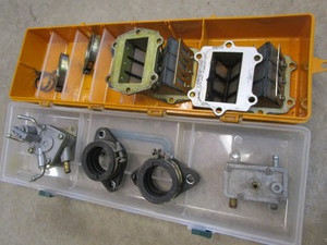 Arctic Cat reeds & fuel pumps...