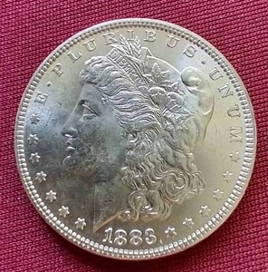 1883 Morgan Dollar