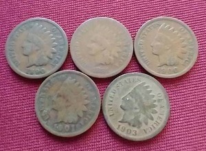 (5) Indian Head Pennies