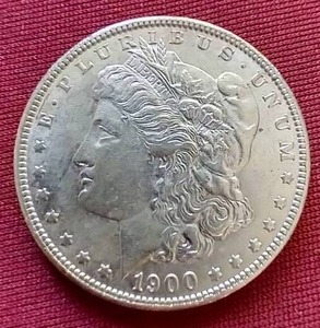 1900 Morgan Dollar