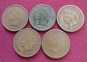 (5) Indian Head Pennies