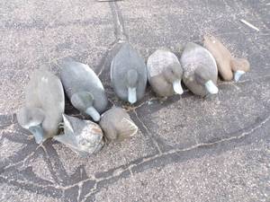 8 Duck Decoys